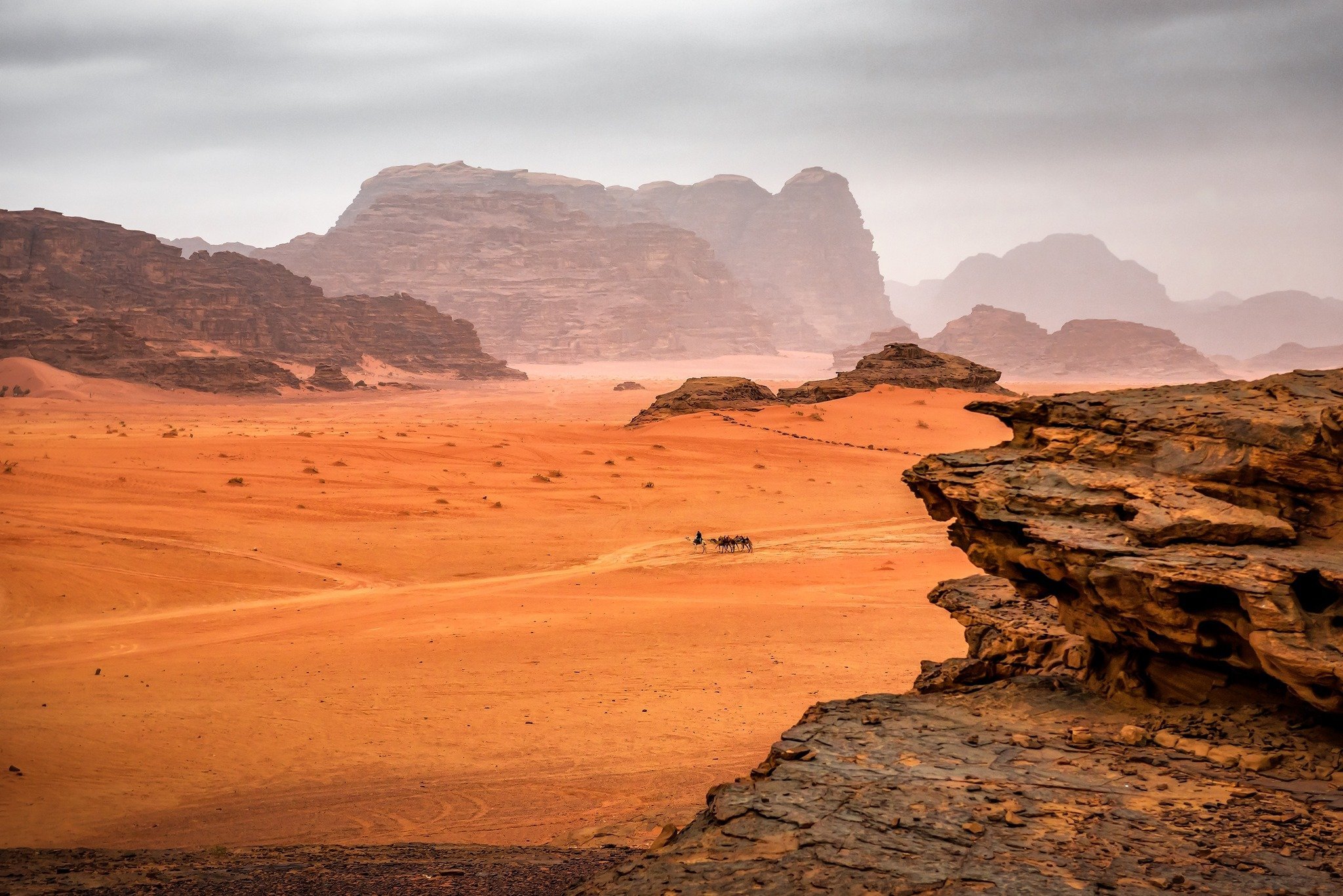 Wadi Rum Nature Reserve Jeep Tour