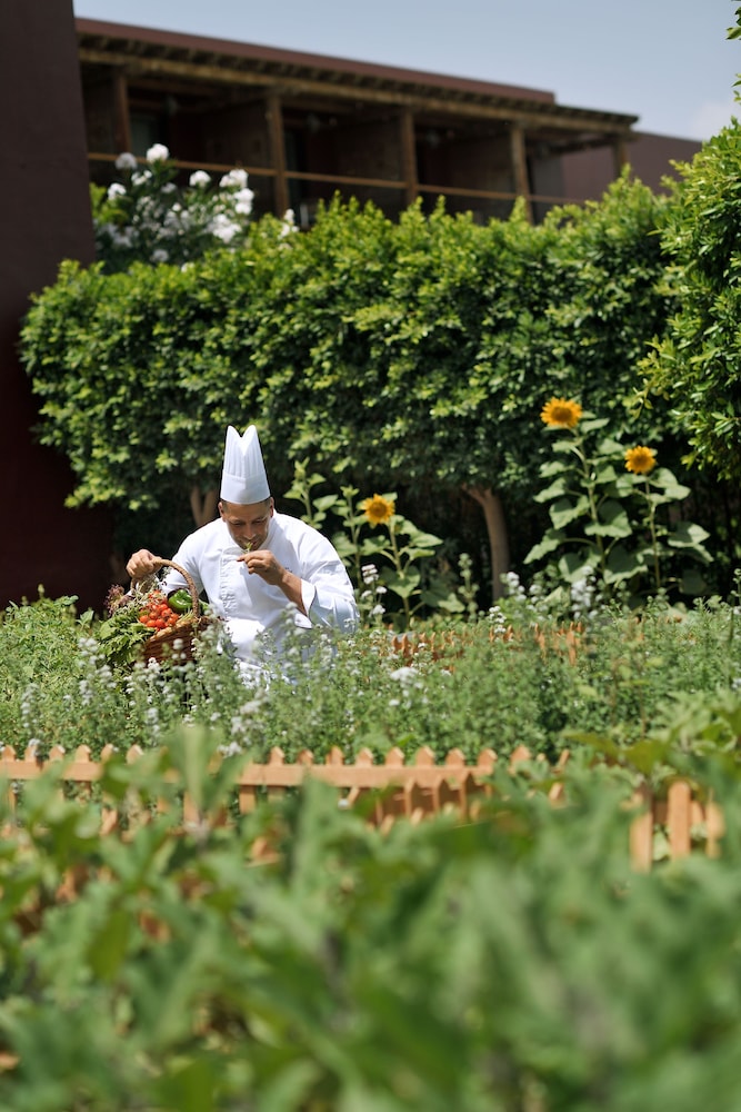 Movenpick Resort & Spa Tala Bay Aqaba Image 85