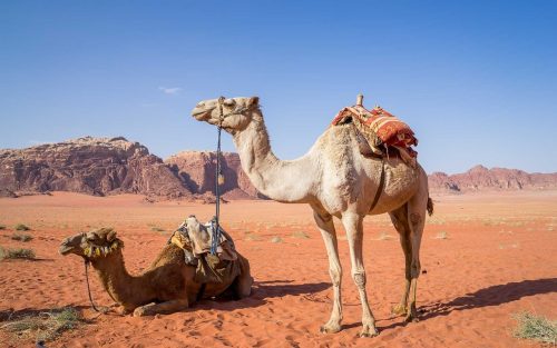 Visit Wadi Rum For Your Perfect Jordan Vacation