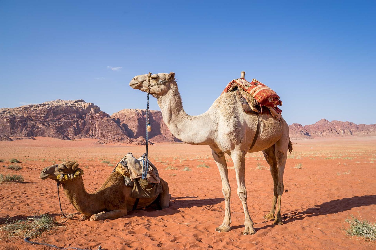 Visit Wadi Rum For Your Perfect Jordan Vacation