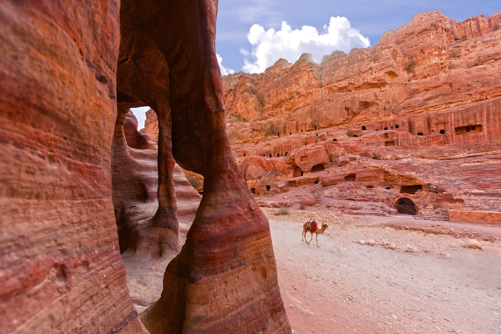 Al Manara, A Luxury Collection Hotel, Saraya Aqaba Image 108