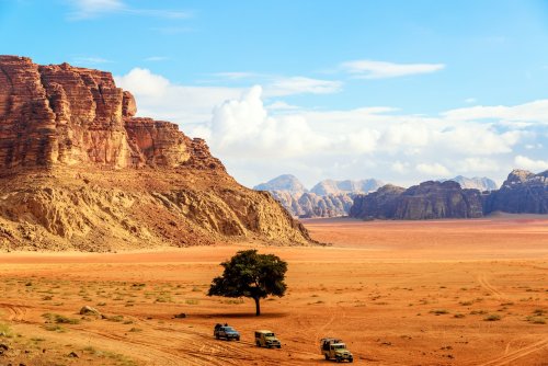Petra And Wadi Rum Tour From Tel Aviv 2 Days Desert