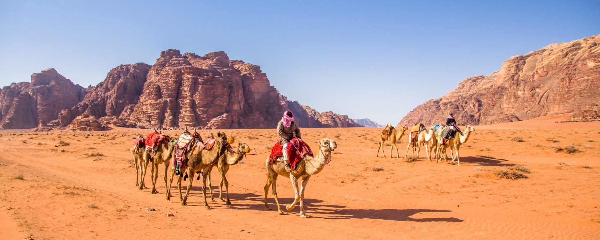 Shutterstock 1381553597 Scaled