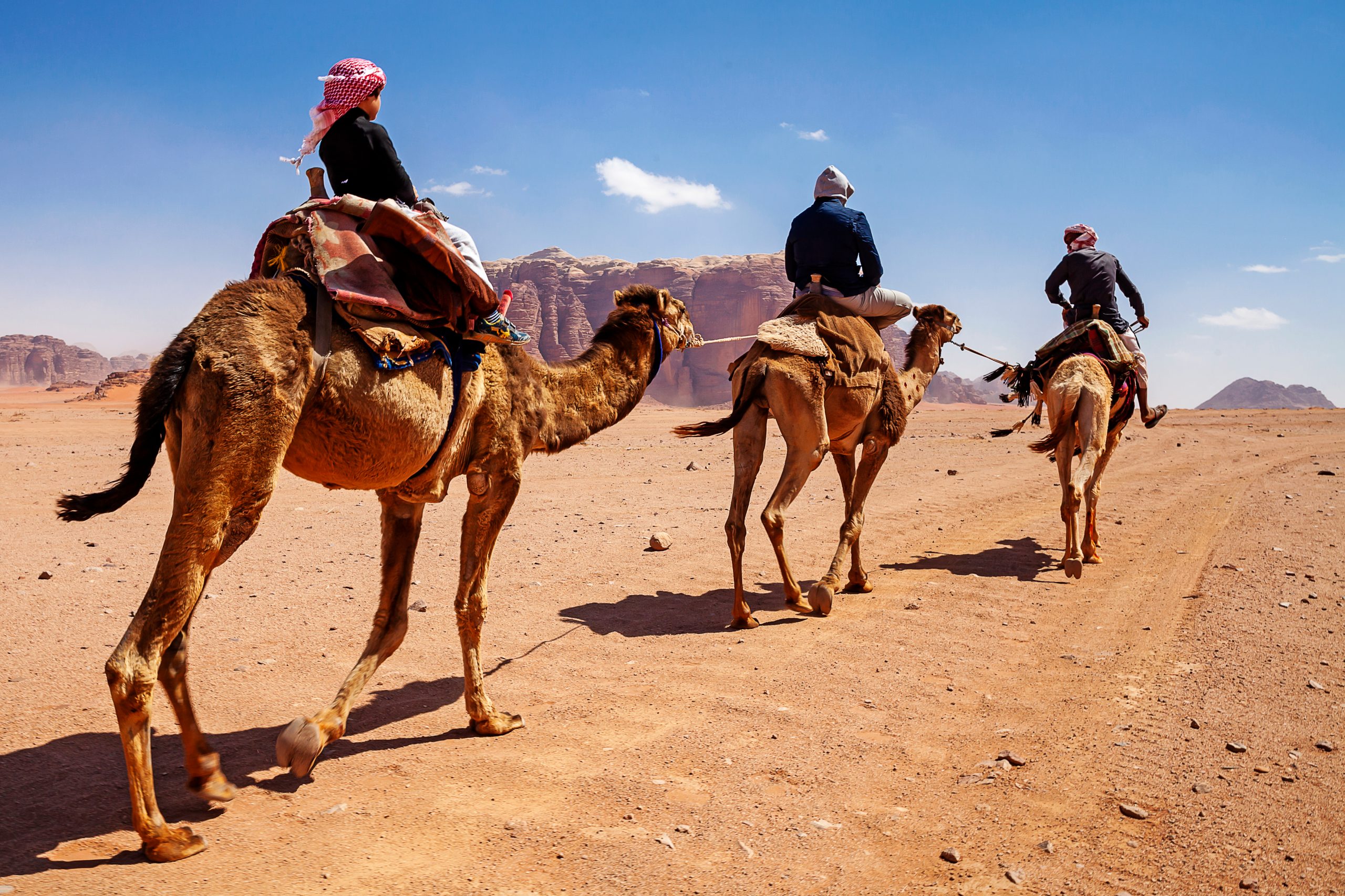 Shutterstock 1387597265 Scaled