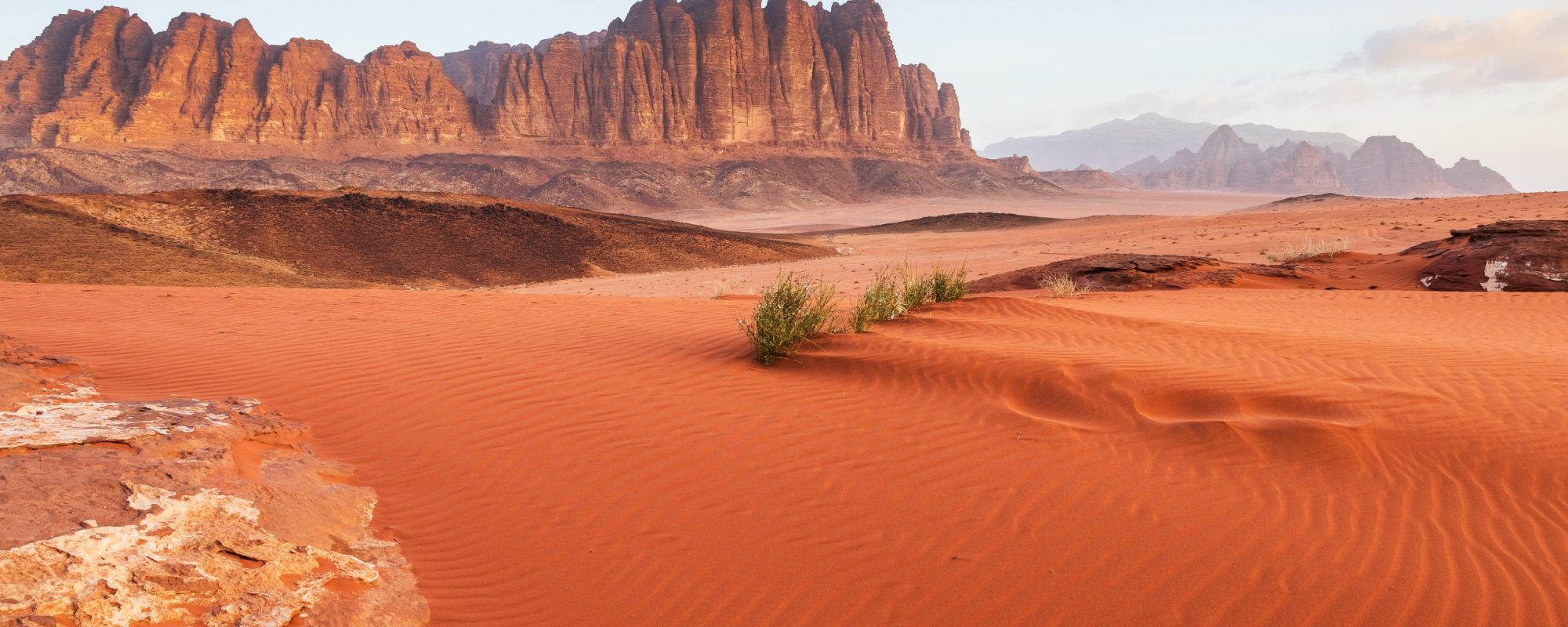 Shutterstock 1887562477 1 Scaled