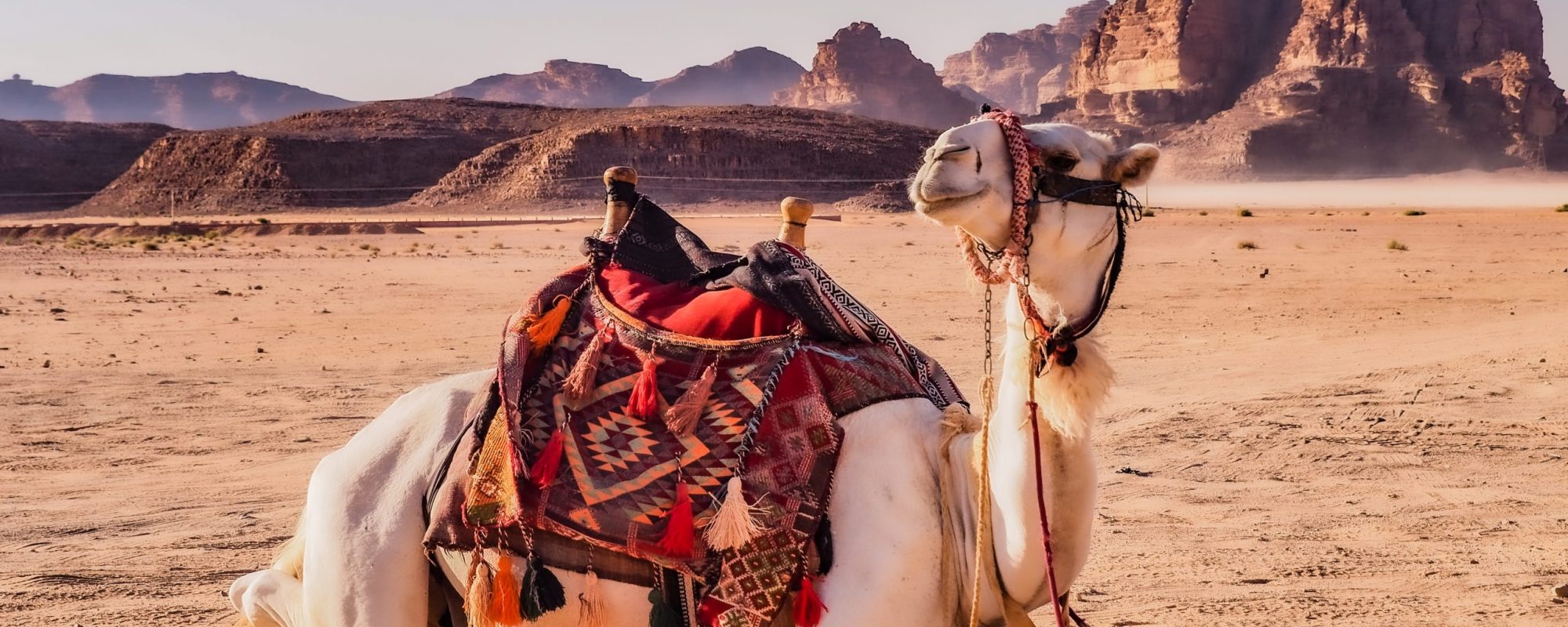 Shutterstock 2052342203 Scaled