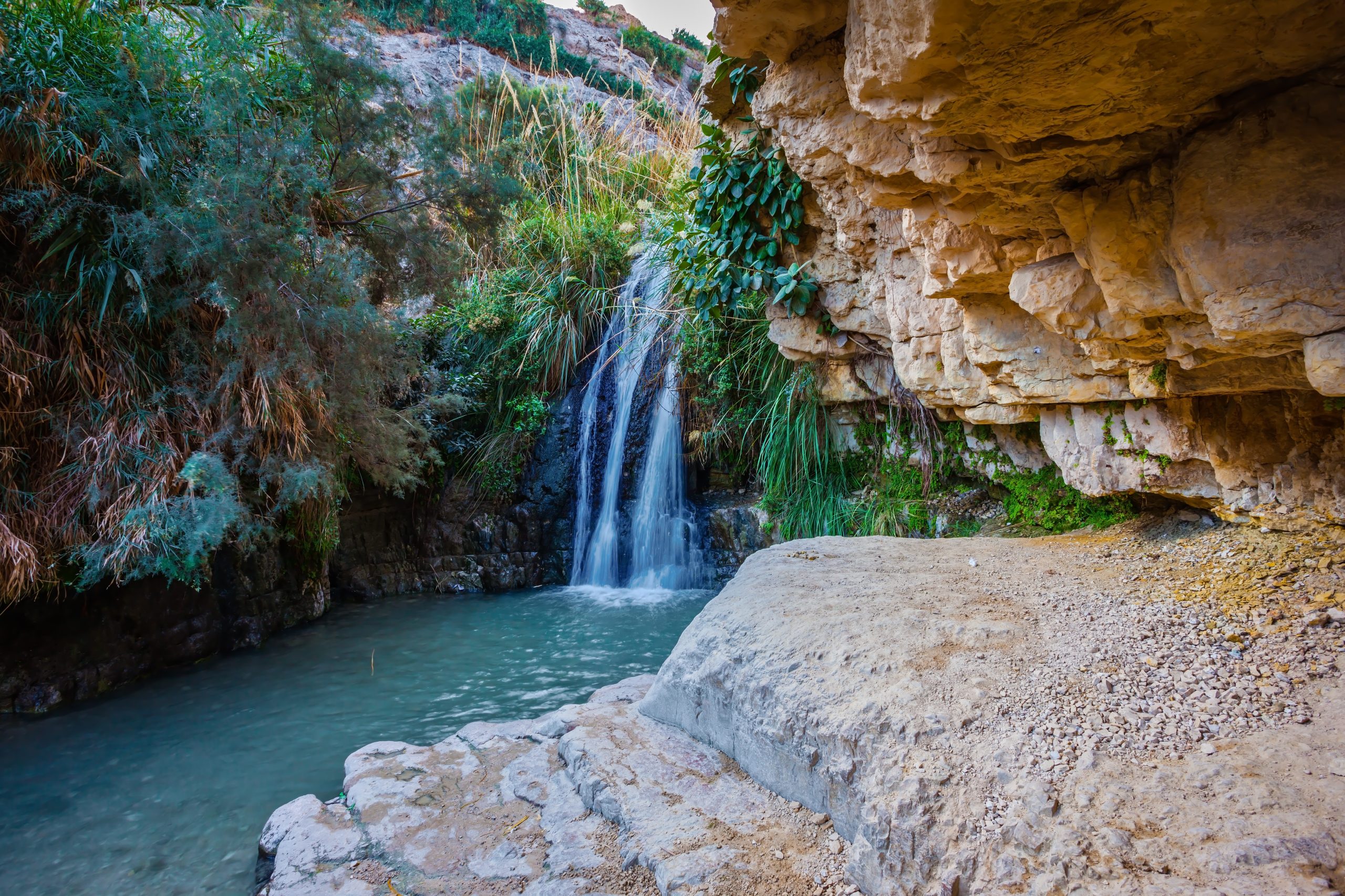 Ein Gedi