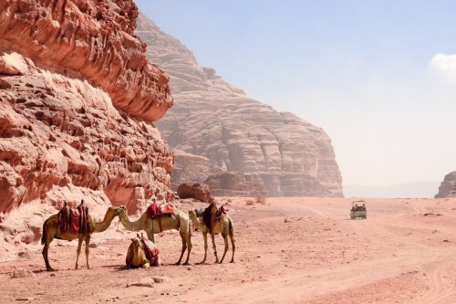 Wadi Rum Jeep Tour Safari Aqaba Jordan Camels Nature